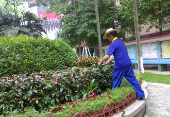 天津绿化养护的相关工作内容